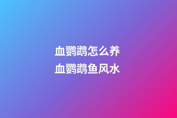 血鹦鹉怎么养 血鹦鹉鱼风水